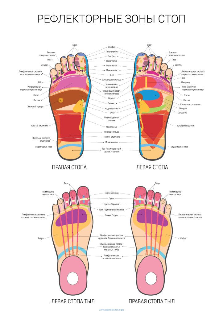 рефлекторные зоны стоп