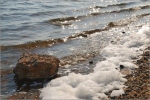 лечебные свойства воды черного моря