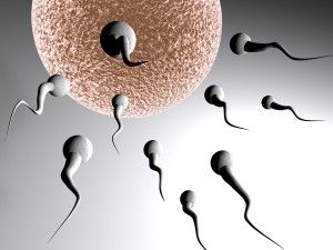 многофункциональный контрацептив