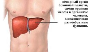 заболевание печени симптомы