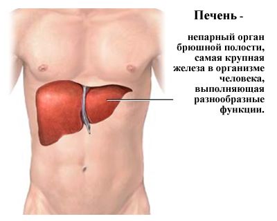 заболевание печени симптомы